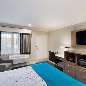 Zimmer mit Kingsize-Bett