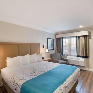 Zimmer mit Kingsize-Bett
